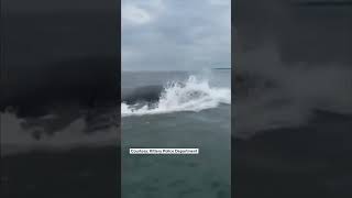 Whale breaches off coast of Kittery Maine 🐋 whales [upl. by Firmin961]