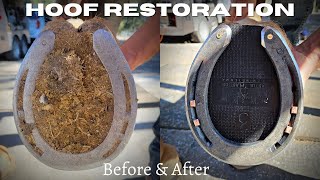 Very Satisfying  Hoof Restoration  Farrier ASMR [upl. by Pratt]