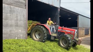 Cumbrian Silage 2022 At the pit with the Massey 390 buckraking in a very low shed [upl. by Elliott]