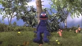 Sesame Street Grover and the Butterfly [upl. by Colville]