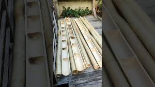 Extension ep4 Bamboo gutters and down pipes [upl. by Siger]