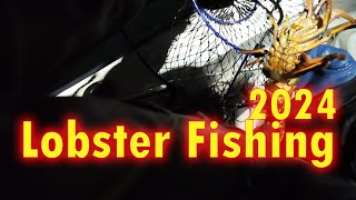 Lobster Fishing 2024  Southern California [upl. by Werra758]