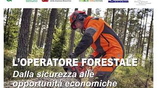 La figura delloperatore forestale dalla sicurezza alle opportunità economiche [upl. by Aisset]