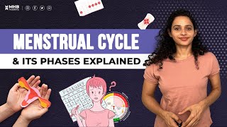 What is The Menstrual Cycle Menstrual Cycle Phases EXPLAINED [upl. by Artinak]