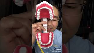 Best Way To Brush Your Teeth Modified Bass Technique [upl. by Ynaffi]