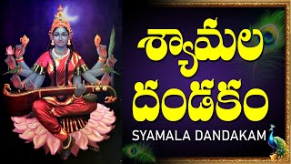 Shyamala Dandakam with Easy Telugu Lyrics  శ్యామల దండకం  Bhakti Songs [upl. by Paulita153]