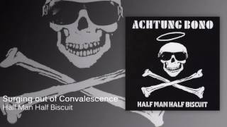 Half Man Half Biscuit  Surging out of Convalescence Official Audio [upl. by Sivram871]