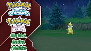 My 1st Quick Chain Hunt Shiny Buizel  Evolution Pokemon Brilliant Diamond amp Shining Pearl [upl. by Attekram686]