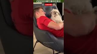 Hilarious Dog Moments 🐶  Try Not To Laugh Challenge 😂 [upl. by Ettessil918]