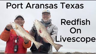 Is LiveScope the Secret to Catching MORE Redfish in Port Aransas [upl. by Dorita]