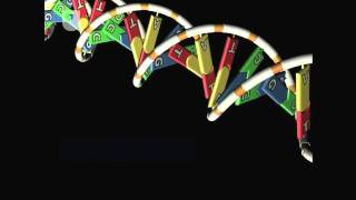 Gene To Protein Overview  DNA RNA and Protein Formation 47 [upl. by Han]