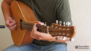 Cittern  10 string mandocello [upl. by Innaig35]