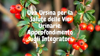 Uva Ursina a Cosa Serve questa Antica Erba Benefici e Proprietà dellUva Ursina [upl. by Rondon978]