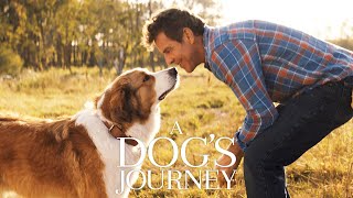 A Dogs Journey 2019 Movie  Marg Helgenberger Betty Gilpin Henry Lau  Review and Facts [upl. by Delano]