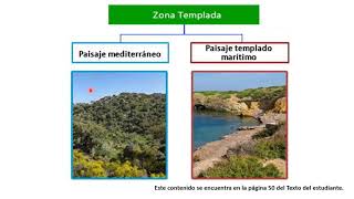 Zonas climáticas 17 de junio paisajes zona templada y fría [upl. by Eizeerb815]