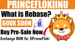 PRINCE FLOKI TOKEN IS GOING TO BLAST 500X SOON  NEW TOKEN REBASE TOKENHOLD AND EARN DOGE REWARDS [upl. by Mufinella543]