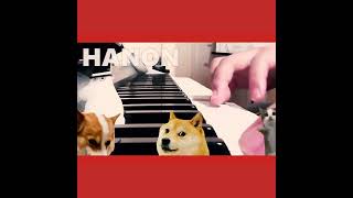 Beginner Piano Practice Month 9  Hanon 38 amp scale fingering practice [upl. by Seroled]