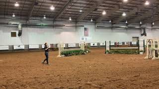 Nutrena Ride the Pattern Clinic Equitation Over Fences and Working Hunter Under Saddle [upl. by Alauqahs]