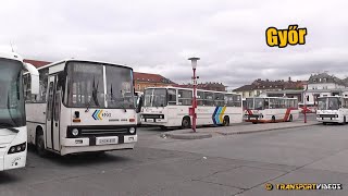 20190430  Ikarus buszok Győrben [upl. by Greenquist192]