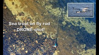 Sea trout on fly  drone shot [upl. by Refeinnej]