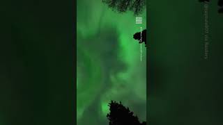 Timelapse Shows Spectacular View of Northern Lights in Anchorage [upl. by Aicilak]