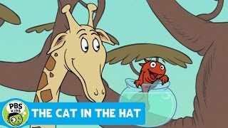 THE CAT IN THE HAT  Fish Facts Giraffes  PBS KIDS [upl. by Aziza]