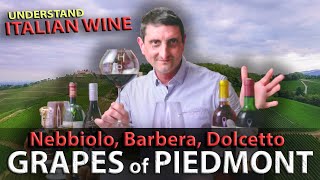 Piedmonts Wine TRILOGY Nebbiolo Barbera Dolcetto  Italian Wine 101 [upl. by Sochor]