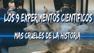 Los 9 EXPERIMENTOS CIENTÍFICOS MÁS CRUELES de la historia [upl. by Trish]