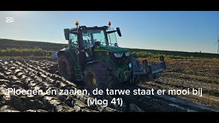 Ploegen en zaaien de tarwe staat er mooi bij vlog 41 [upl. by Karmen483]