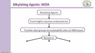 Alkylating Agents  Antineoplastic Agents  Pharmacology Experiments [upl. by Salbu855]