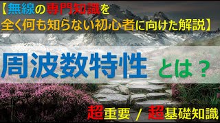 【完全解説】③周波数の特性を知る事が、電波や無線を極める極意！日常生活に溶け込んだ周波数を超わかりやすく解説！ [upl. by Nachison]