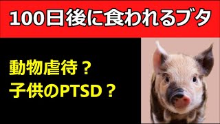 「100日後に食われるブタ」は動物虐待か？子供がPTSDになる？ [upl. by Jerald]