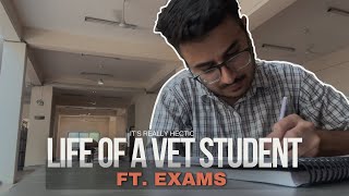 Exams ft Veterinary Student  Veterinary Student Vlog ❤️✨ veterinary neet2024 vet [upl. by Schulze]