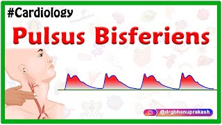 Pulsus bisferiens  USMLE  Cardiology [upl. by Jeaz869]