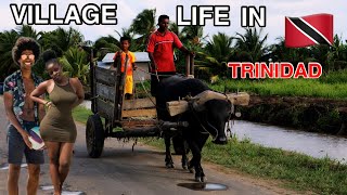 OMG Village Life in Trinidad amp Tobago is NOT What you Think 🇹🇹 [upl. by Yseulte]