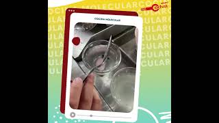 Conoce las técnicas de cocina molecular 👩‍🍳 [upl. by Joiner571]