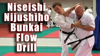 Practical Kata Bunkai Niseishi  Nijushiho Flow Drill [upl. by Vinay]