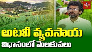 Forest Farming అటవీ వ్యవసాయ విధానంలోమెలకువలు  hmtv Agri [upl. by Ethelin]