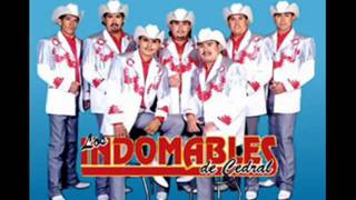 Los Indomables de Cedral  La ausencia de tu amor [upl. by Anot477]