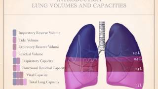 Obstructive Vs Restrictive Lung Diseases [upl. by Kristal847]