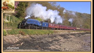 60007 Sir Nigel Gresley at Speed in South Devon 19th April 2014 [upl. by Jarin]