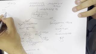 NSAID Mechanisms and Side effects in Arabic [upl. by Edgardo]