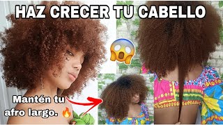 COMO HACER CRECER EL CABELLO AFRO RIZADO RÁPIDO MANTENER EL CABELLO LARGO😍EL PELO AFRO SÍ CRECE [upl. by Lladnyk]