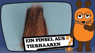 Ein Pinsel aus Tierhaaren [upl. by Ditzel]