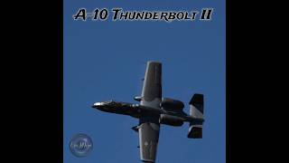 A10C Thunderbolt II quotBlacksnakesquot Close Air Support Aircraft military aviation shorts [upl. by Sevik120]