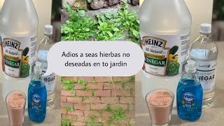 Herbicida casero con sólo 3 ingredientes sin químicos dañinos [upl. by Adnael487]