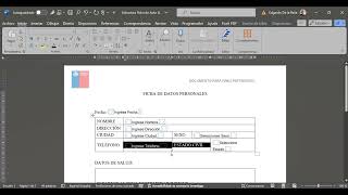 Fichas de Auto Llenado en Word [upl. by Einnob156]