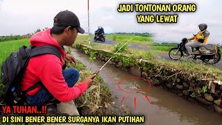 Terkejut Spot Ini Ikannya Babon babon Banget  Mancing Di Selokan Pinggir Jalan Raya [upl. by Gladis]