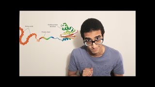 Protein synthesis Transcription and Translation [upl. by Tima]