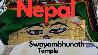 Swayambhunath Temple Monkey Temple Stupa Kathmandu Nepal स्वयंभू [upl. by Savill927]